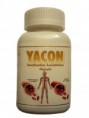 /album/productos-cadeel/yacon-jpg1/
